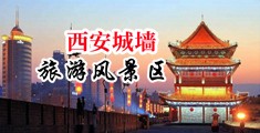 麻豆美女被操逼视频免费网站中国陕西-西安城墙旅游风景区