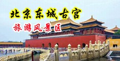 日本无码老司机中国北京-东城古宫旅游风景区